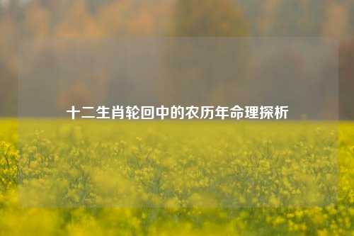 十二生肖轮回中的农历年命理探析