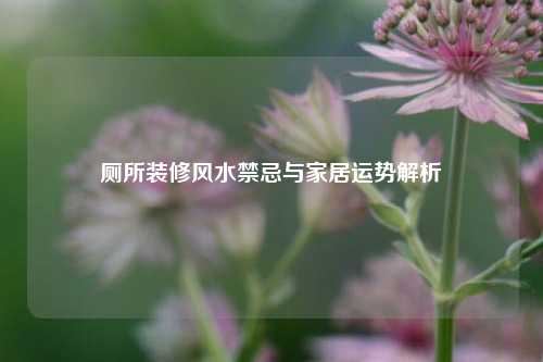 厕所装修风水禁忌与家居运势解析