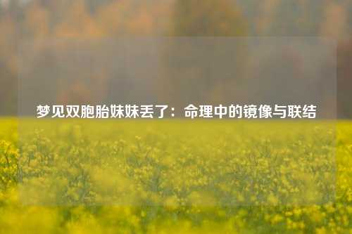 梦见双胞胎妹妹丢了：命理中的镜像与联结