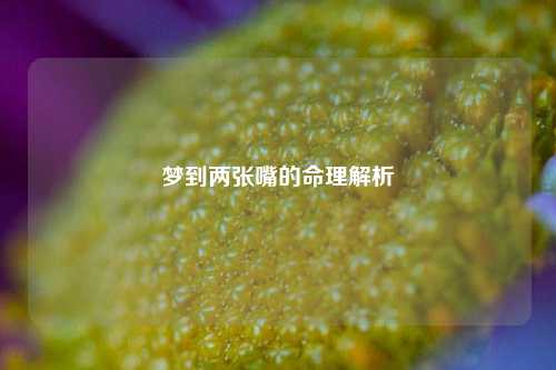 梦到两张嘴的命理解析